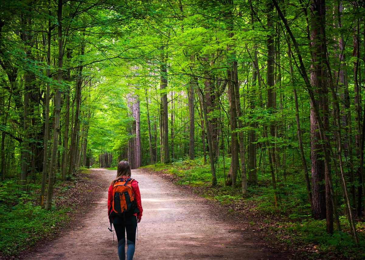 image of girl hiking in the woods