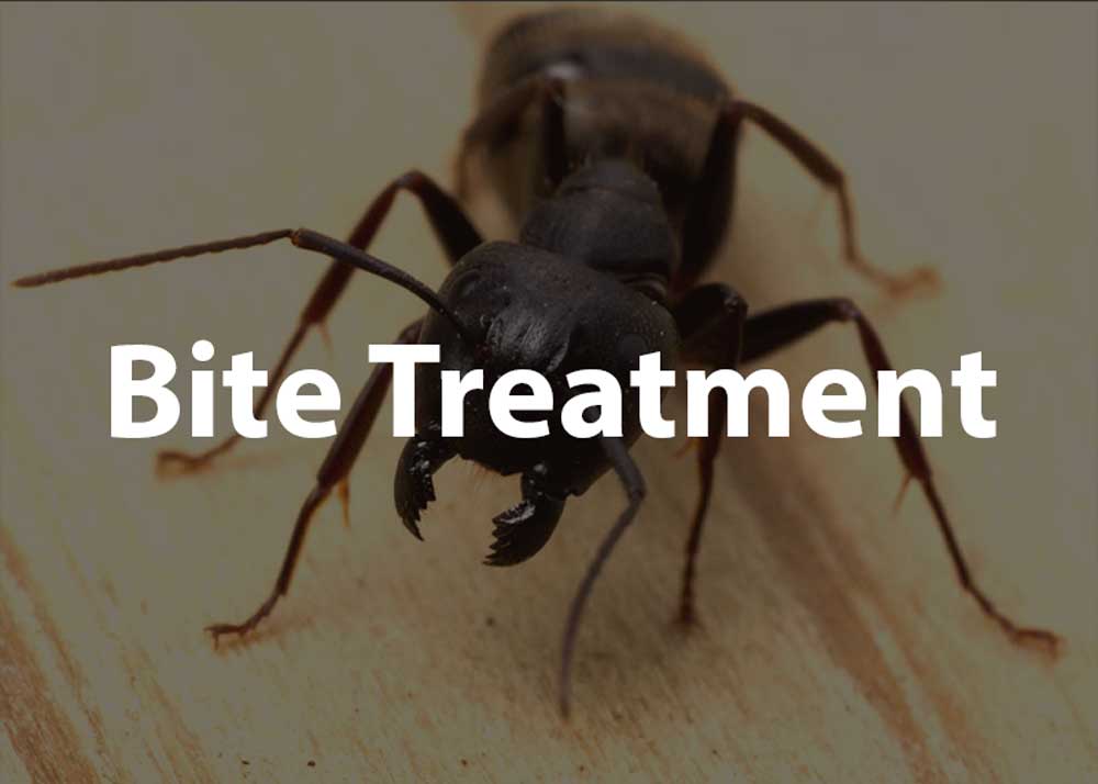 bite treatment