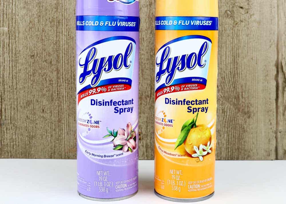 does lysol kill bed bugs