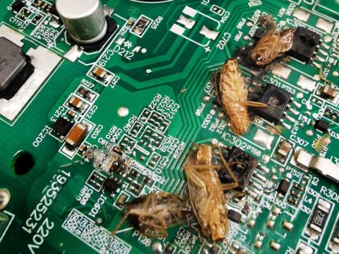 how to get roaches out of electronics