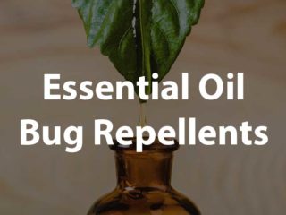 essential oil bug repellent