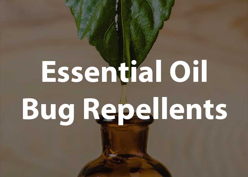 essential oil bug repellent