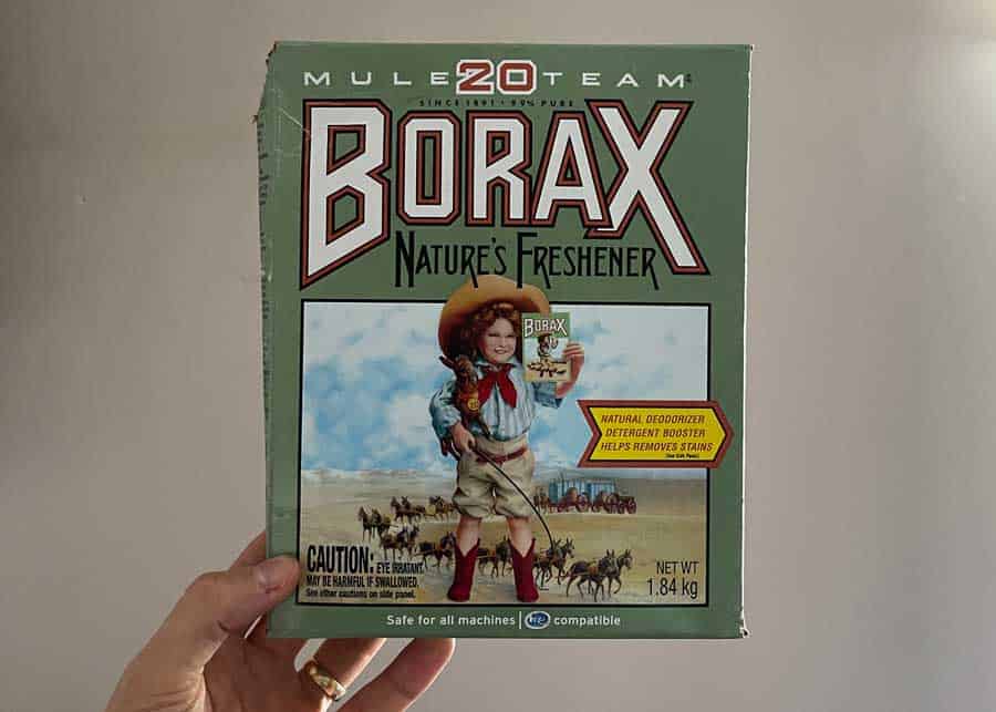 borax for roaches