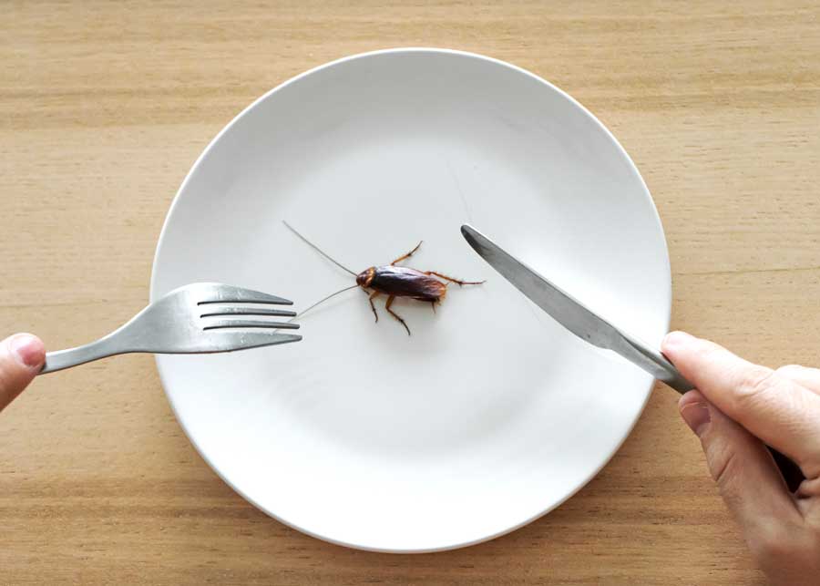 do people eat roaches