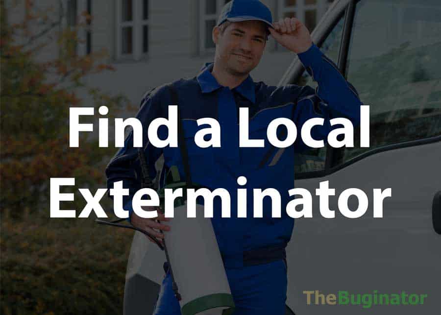 Find an Exterminator Hire a Pro Near You » The Buginator